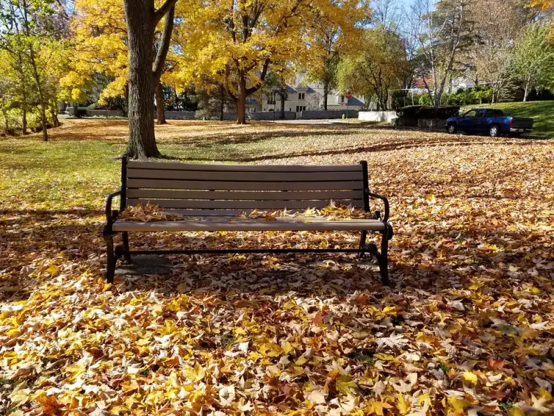 Bancă într-un parc, toamna